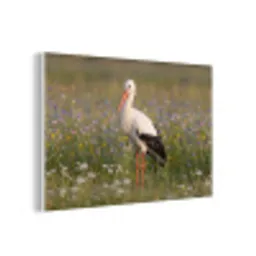 Ooienvaar - Bloemen - Weide - Kleurrijk forex 5mm xxl -3d