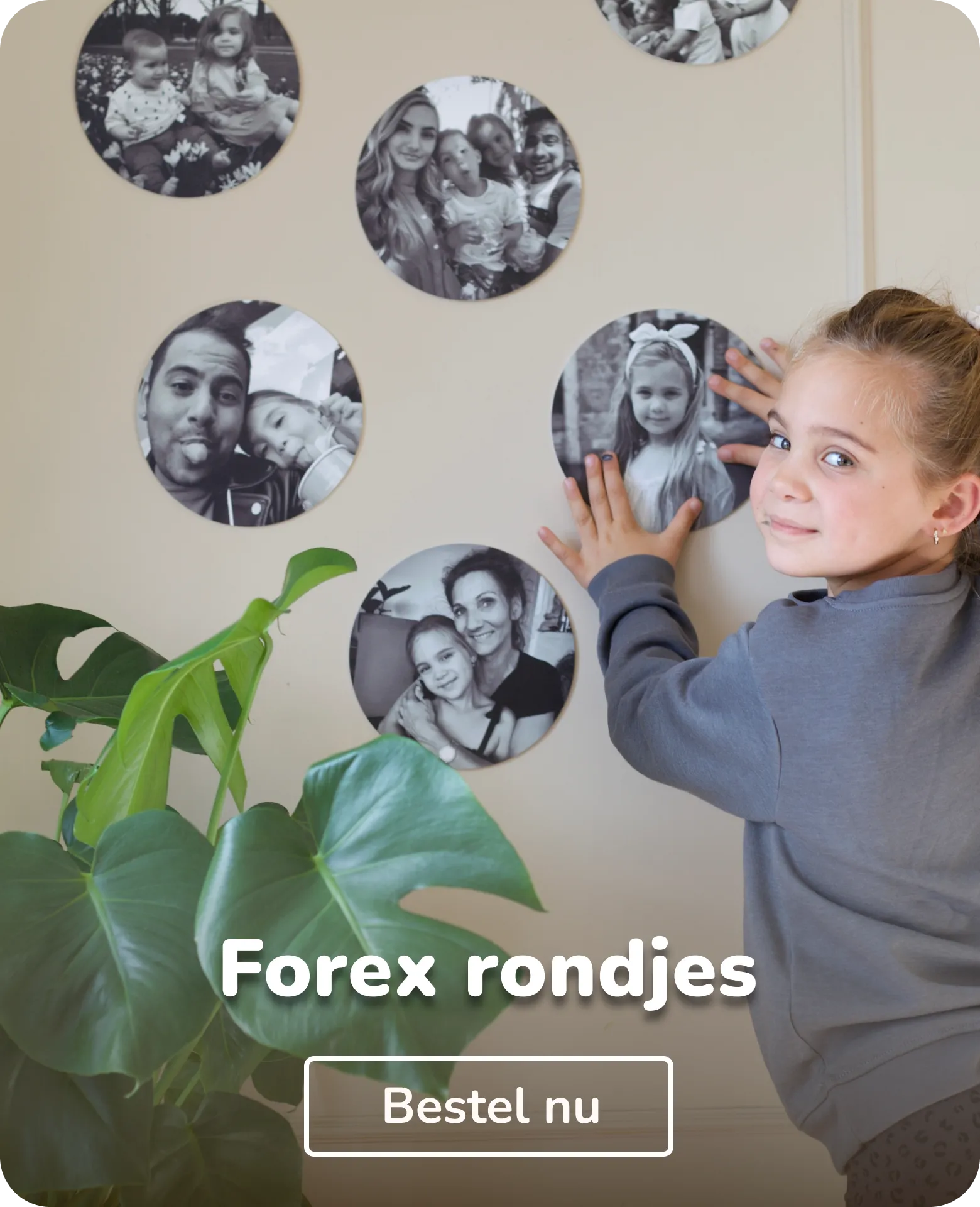 Foto op forex rondjes