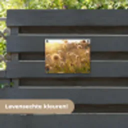 Verlichte zaadhoofden in de avondzon tuinposter los doek klein -sfeer3