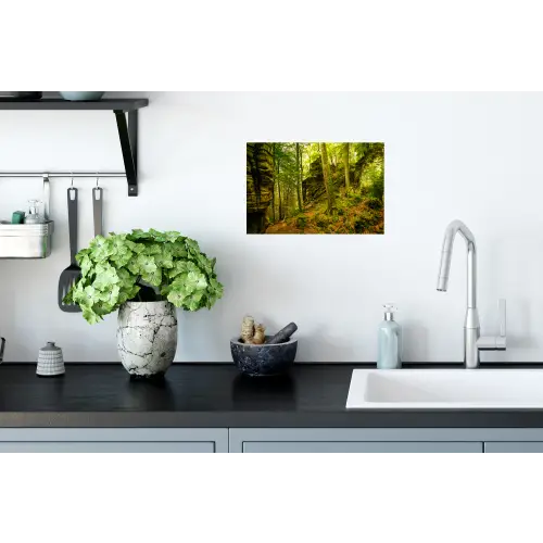 Bomen - Steen - Bos - Natuur Muursticker klein -keuken