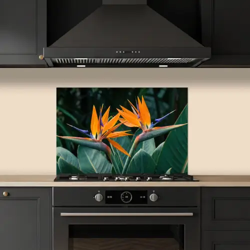 Paradijsvogel - Bloem - Exotisch keuken achterwand spatscherm klein -sfeer1