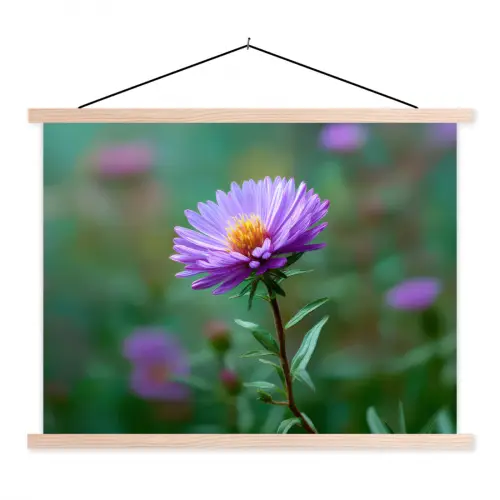 Aster - Paars - Bloem - Blaadjes textielposter latten blank klein -3d