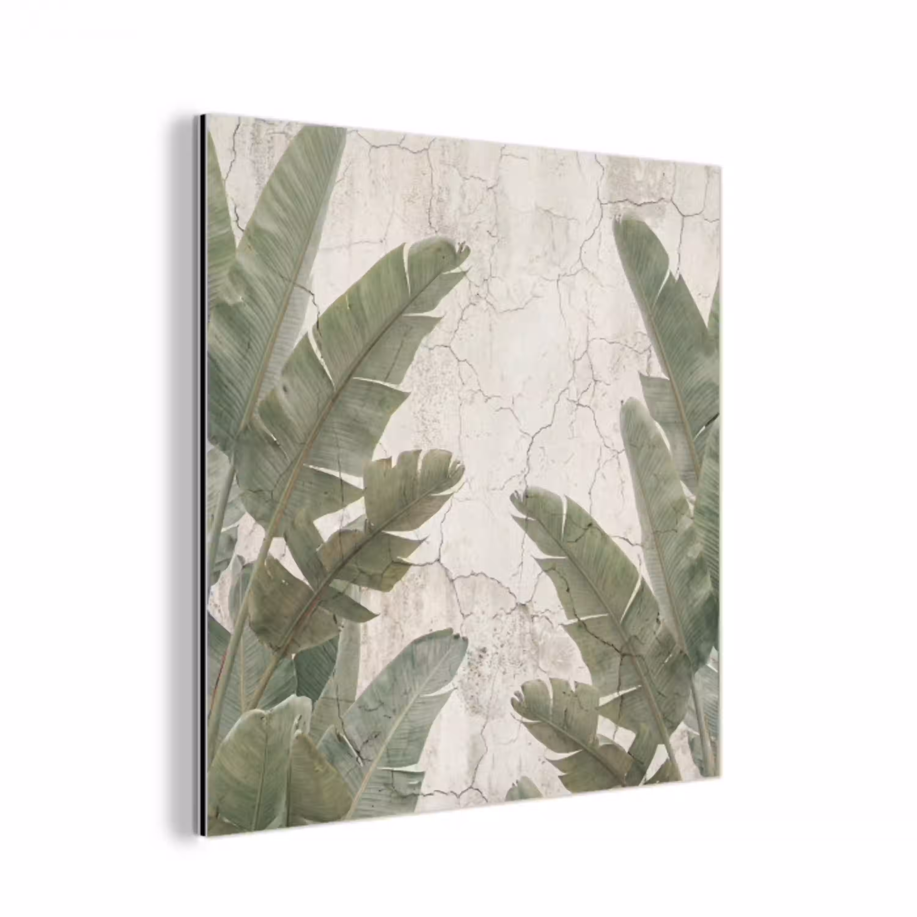 Bananenbladeren - Beton - Groen aluminium wit klein -3d