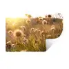 Planten - Natuur - Bloemen Muursticker klein -3d