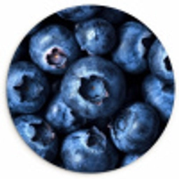 Bessen - Blauw - Fruit Wandcirkel plexiglas klein -3d