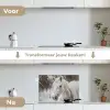 Paard - Wit - Winter - Natuur - Sneeuw - Dieren keuken achterwand spatscherm klein -voor_na_NL