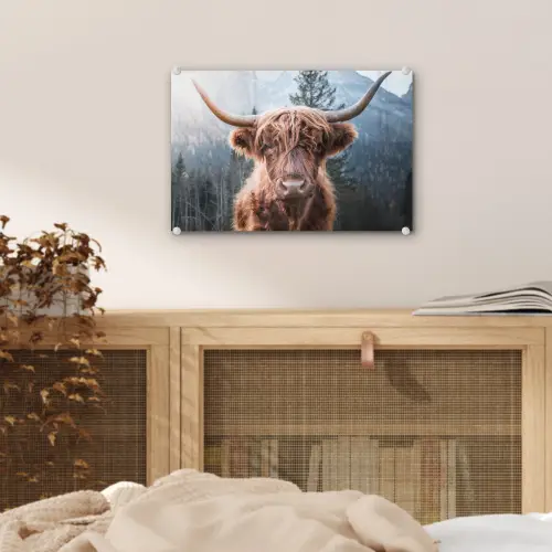 Schotse hooglander - Koe - Dieren - Berg - Natuur plexiglas 5mm klein -sfeer4