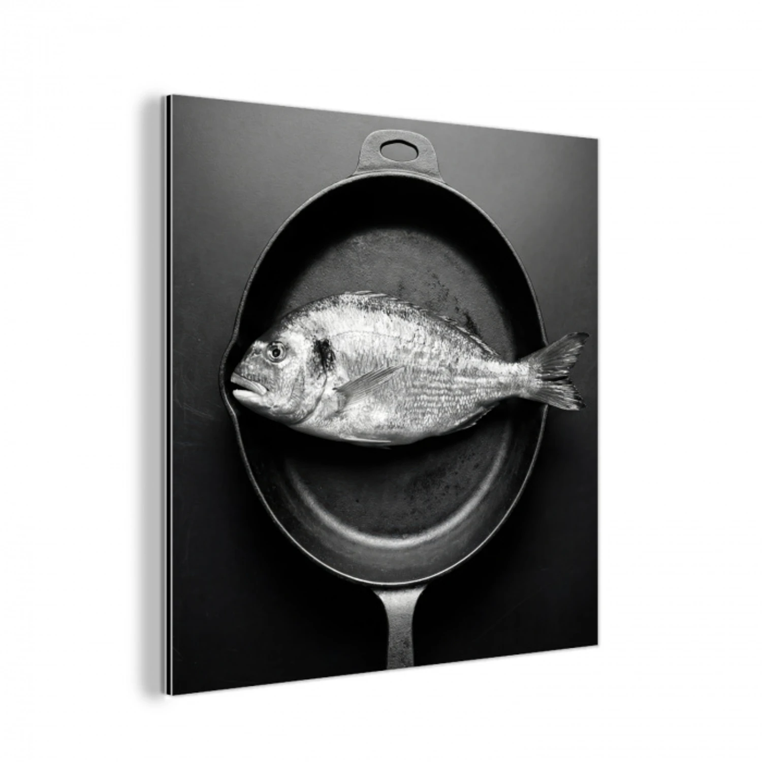 Pan - Vis - Zwart - Wit aluminium wit klein -3d