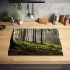 Zon - Takken - Bomen - Bos - Natuur Inductie beschermer vinyl 3mm middel -sfeer5