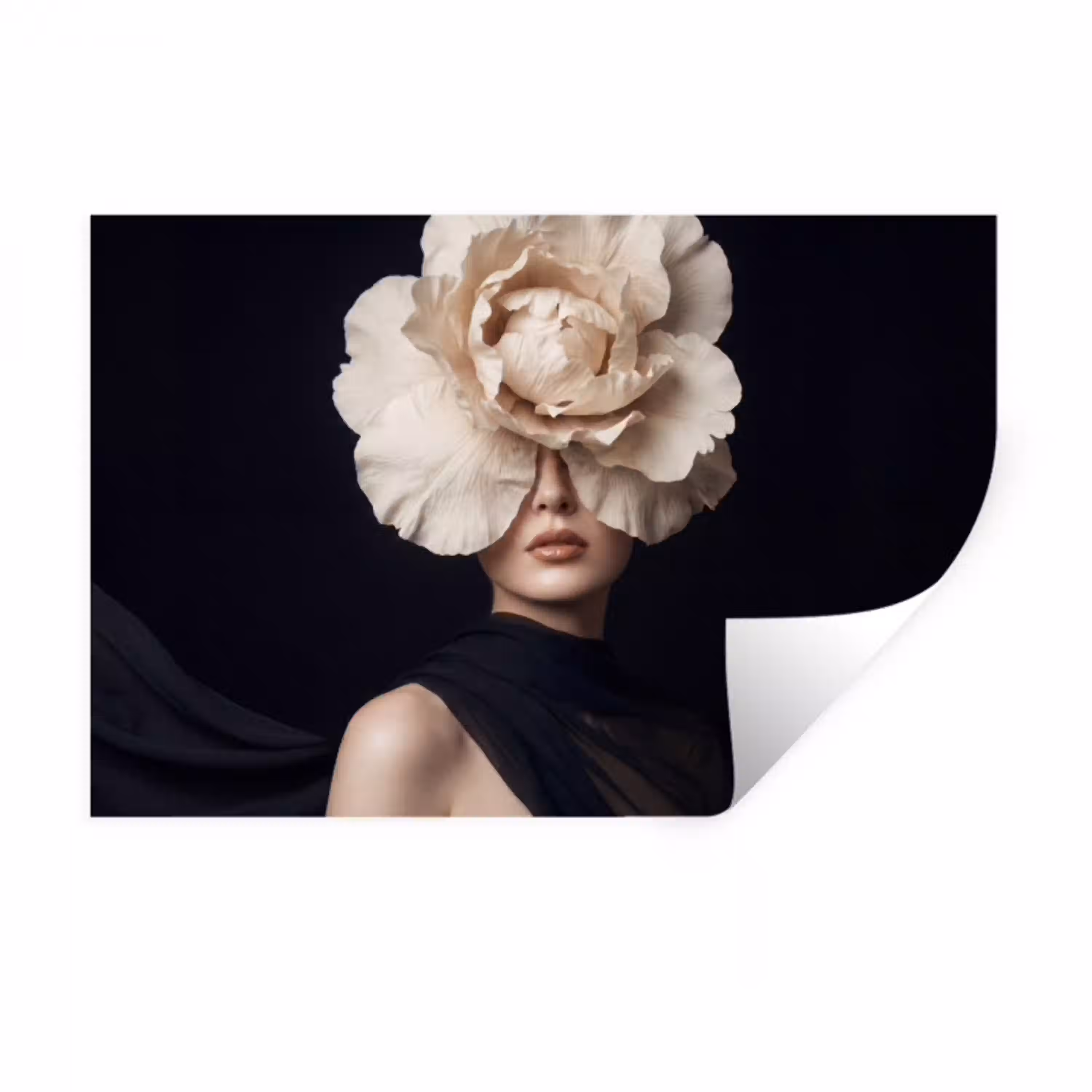 Roos - Tijdloos - Zwart Muursticker klein -3d