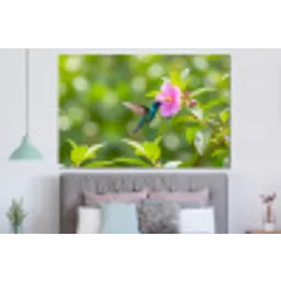 Kolibrie - Bloem - Natuur - Groen forex 5mm xxl -slaapkamer