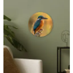 IJsvogel - Tak - Water - Kleurrijk - Levendig Wandcirkel kunststof plaat 5mm dik klein -sfeer3