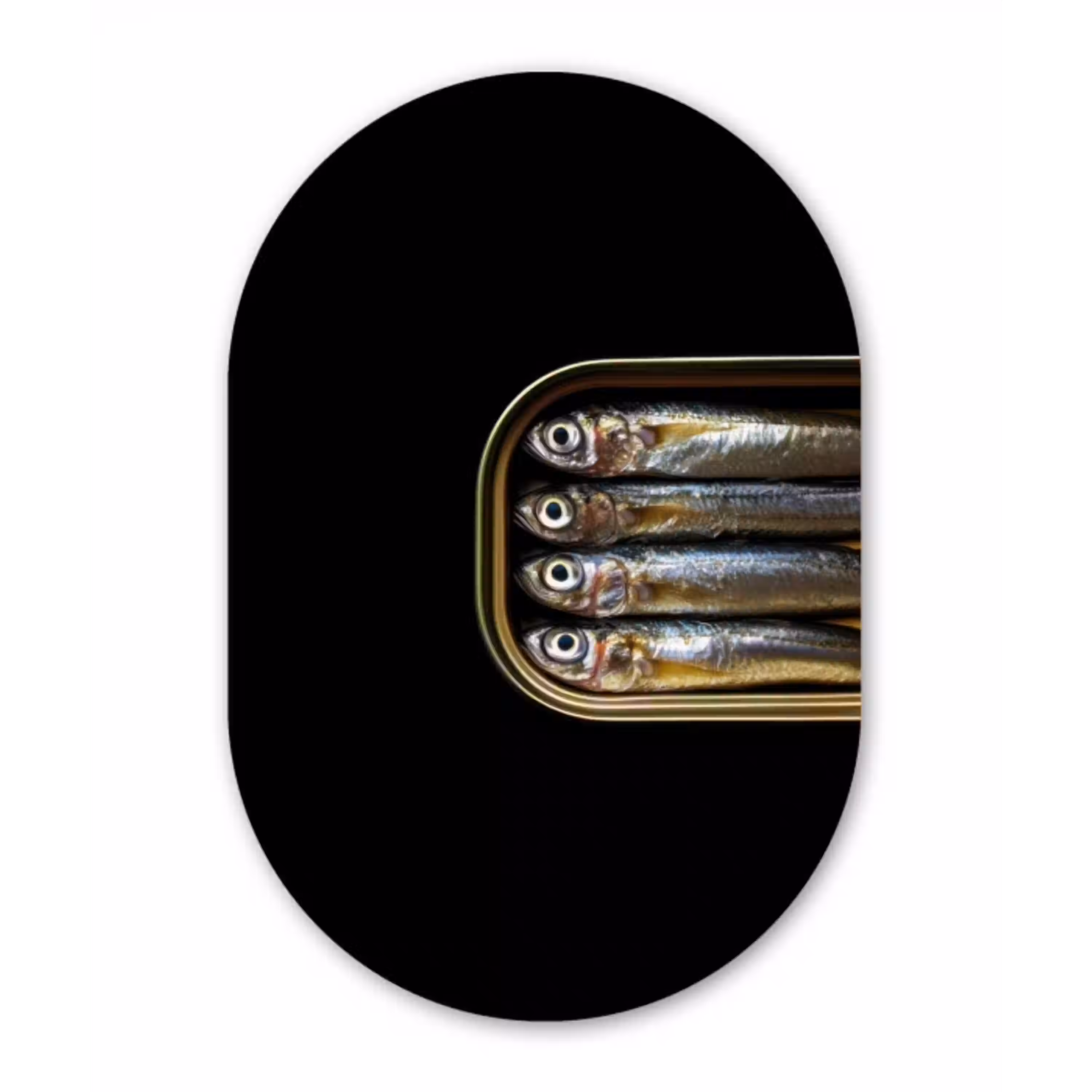 Sardines - Blik - Zwart - Vissen Wandcirkel Ovaal Aluminium middel -3d