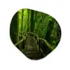 Jungle - Brug - Mos - Natuur - Tropisch Wandcirkel Organisch Forex 3mm klein -3d