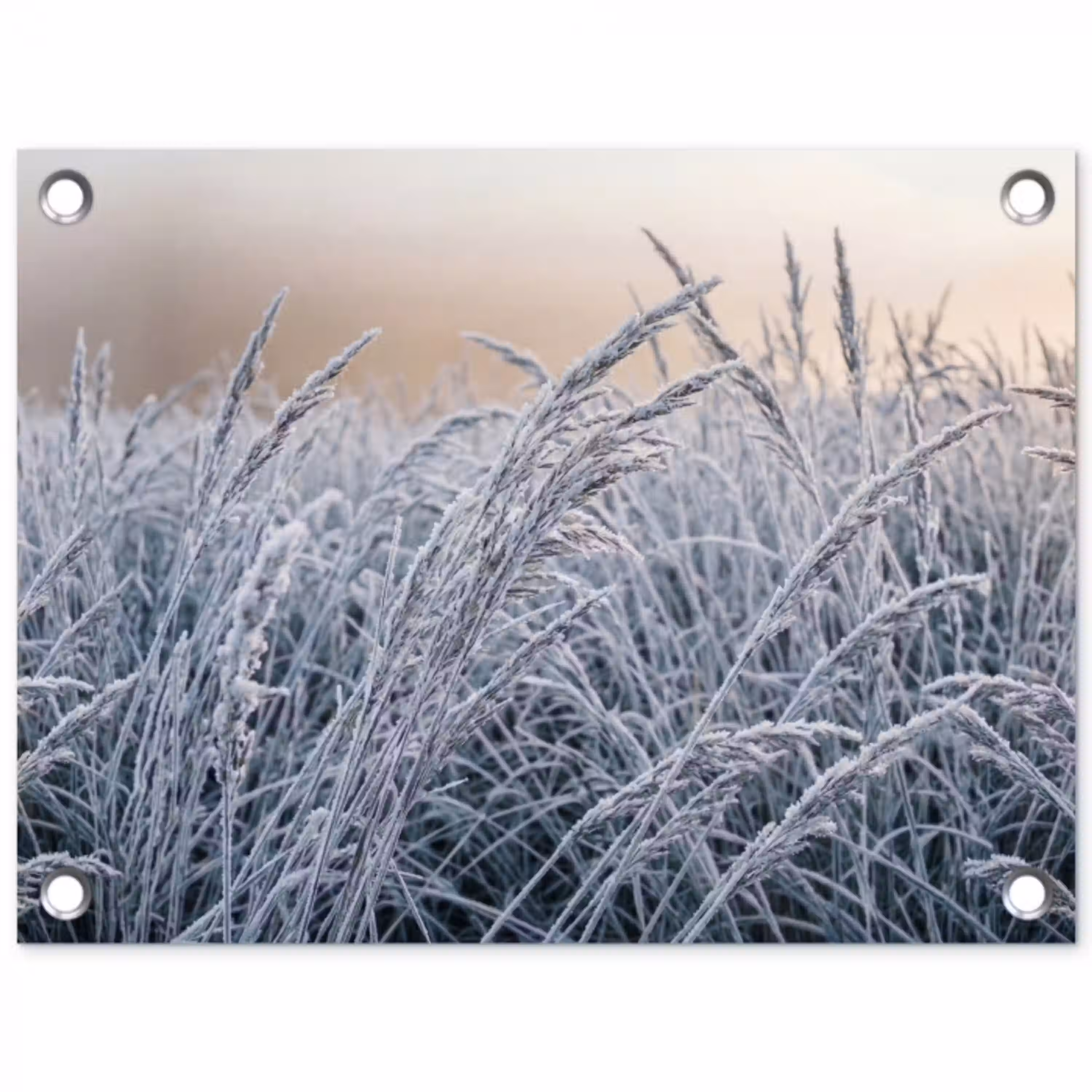 Rijp - Gras - Kristallen - Winter - Minimalistisch tuinposter los doek klein -3d