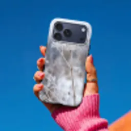 Schermbloem - Rijp - Kristallen - Winter - Delicaat Toughcase MagSafe Apple iPhone 17 Pro Max klein -Sfeer1V
