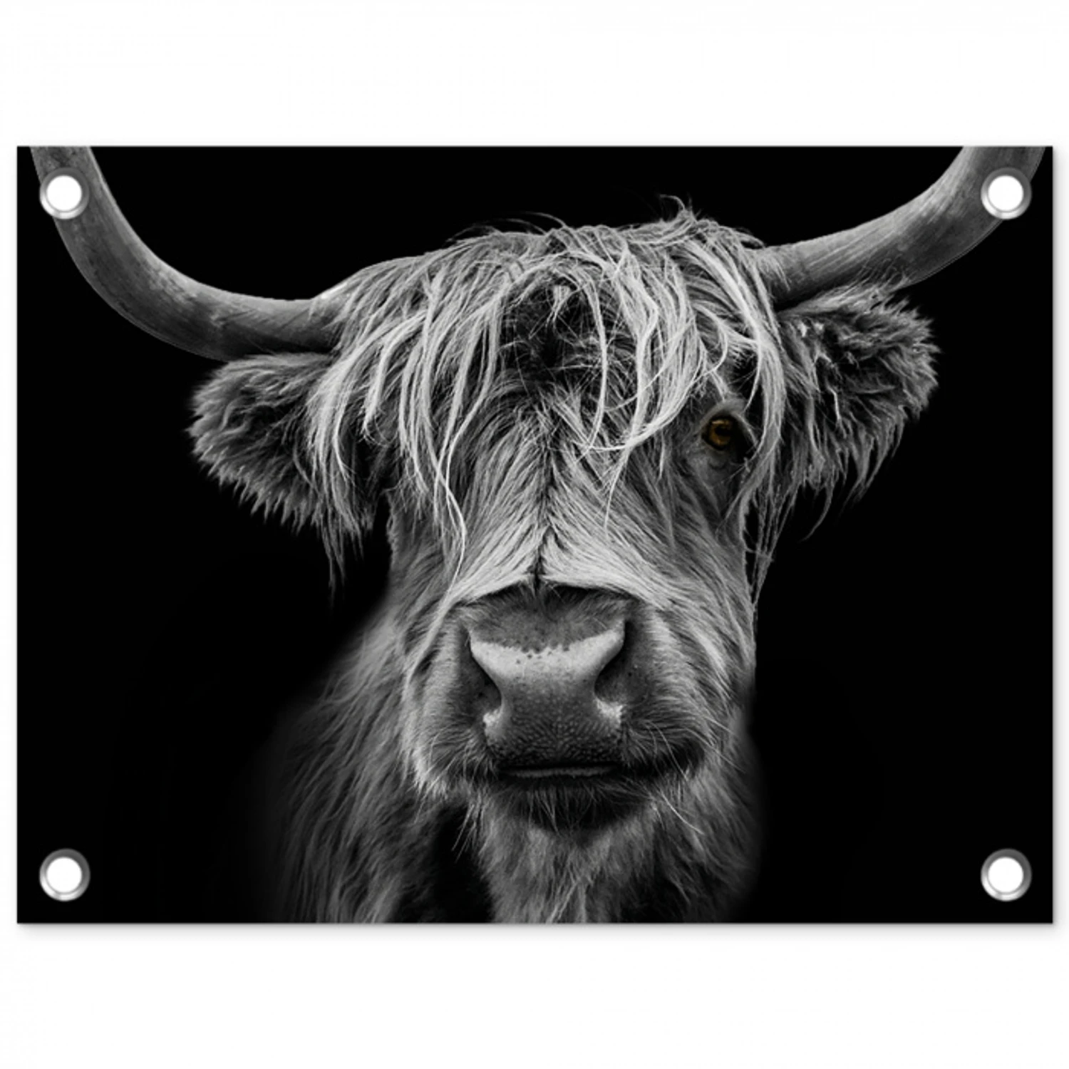 Hooglander in Zwart-Wit tuinposter los doek klein -3d