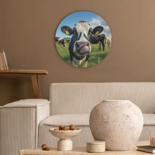 Koe - Tong - Weide Akoestische PET Vilt - Rond klein -sfeer1
