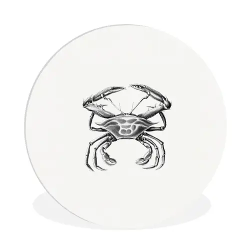 Tuinposter zwart wit - Ernst Haeckel - Vintage - Tuin - Kunst Wandcirkel kunststof plaat 5mm dik klein -3d