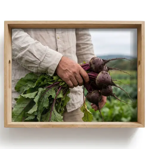 Bieten - Vers - Moestuin Dienblad Rechthoek middel -z3d_shopping
