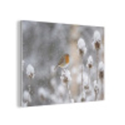 Roodborstje - Gedroogde bloem - Sneeuw - Winter - Vertederend PET vilt klein -3d