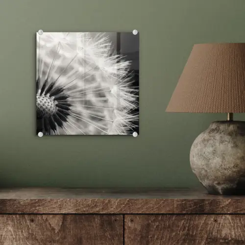 Paardenbloem - Zwart - Wit plexiglas 5mm klein -sfeer3
