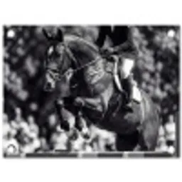 Springen - Paard - Zwart - Wit tuinposter los doek klein -3d