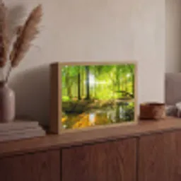 Bos - Landschap - Water - Bomen - Zon - Groen - Natuur Light Box met batterij (Wandlamp) middel -sfeer2