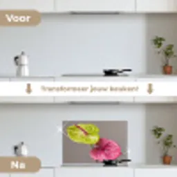 Planten - Anthurium - Groen - Roze keuken achterwand spatscherm klein -voor_na_NL