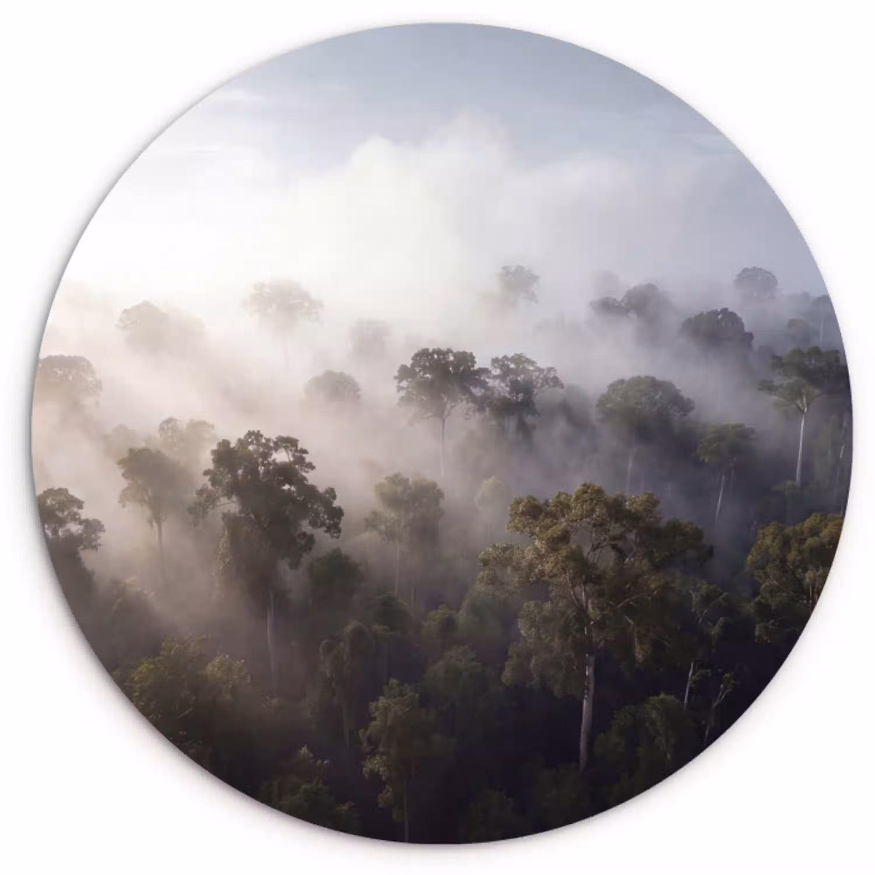 Bos - Mist - Natuur - Groen Wandcirkel kunststof plaat 5mm dik klein -3d