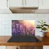 Lavendelbloemen - Paars - Zonlicht keuken achterwand spatscherm klein -sfeer2