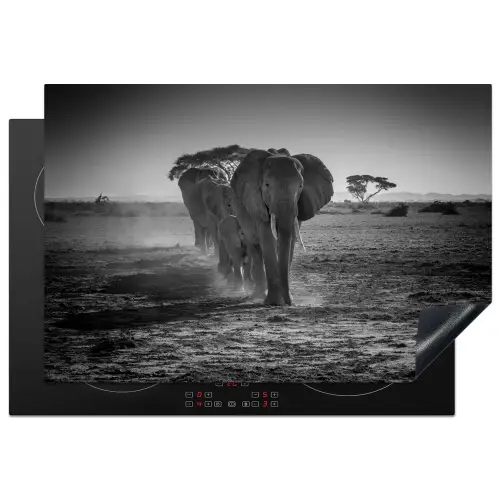 Karavaan van de Oude Reuzen Inductie beschermer vinyl 3mm klein -3d