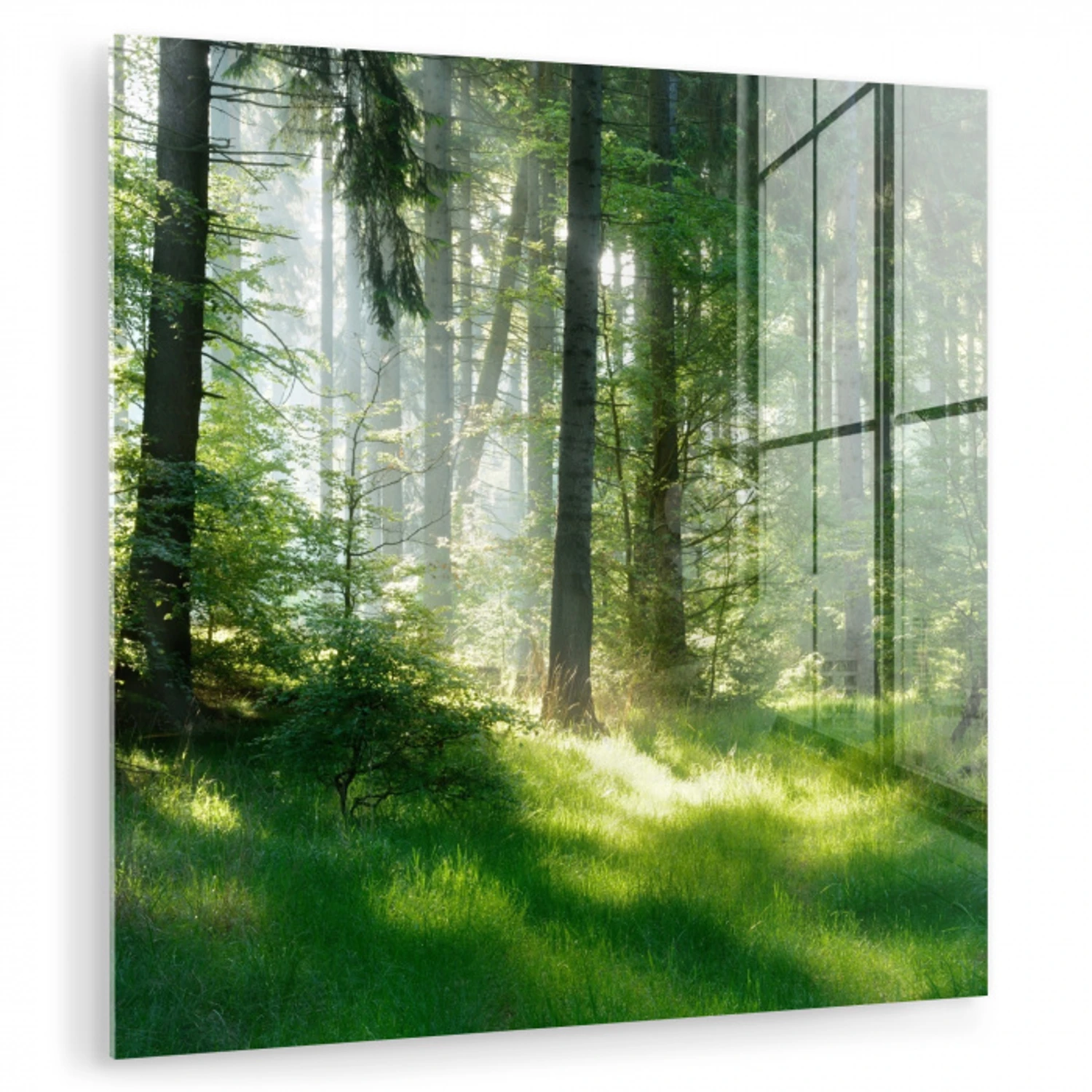Natuur - Bomen - Bos - Groen - Zon - Gras - Planten plexiglas 5mm klein -zzzproduct_nieuw