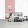 Zwaan - Koksmuts - Mooi - Klassiek fotobehang vinyl groot -slaapkamer