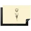 Illustratie - Tulp - Zwart Inductie beschermer vinyl 3mm klein -3d