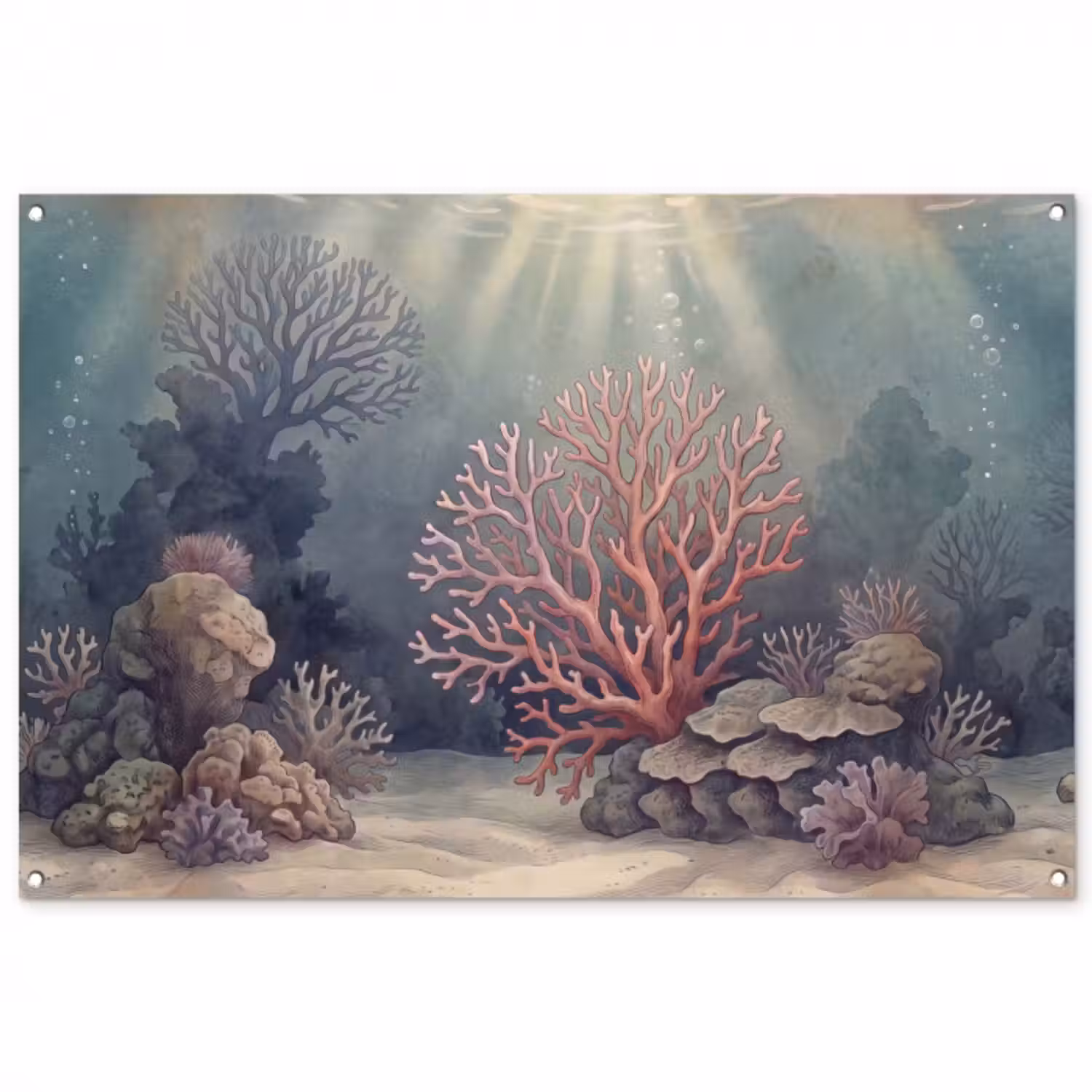 Gartenposter - Koralle – Unterwasser – Natur – Rosa