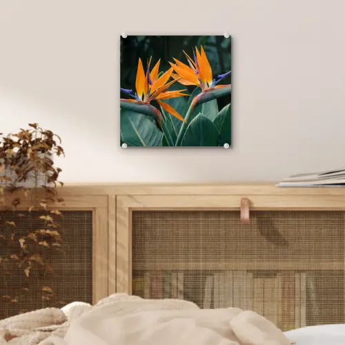 Paradijsvogel - Bloem - Exotisch plexiglas 5mm klein -sfeer4