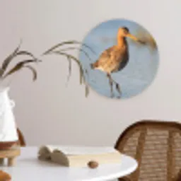 Vogel - Steltloper - Water - Natuur Wandcirkel kunststof plaat 5mm dik klein -sfeer4