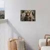 Schotse hooglander - Toilet - Krant - Badkamer tuinposter los doek klein -sfeer8