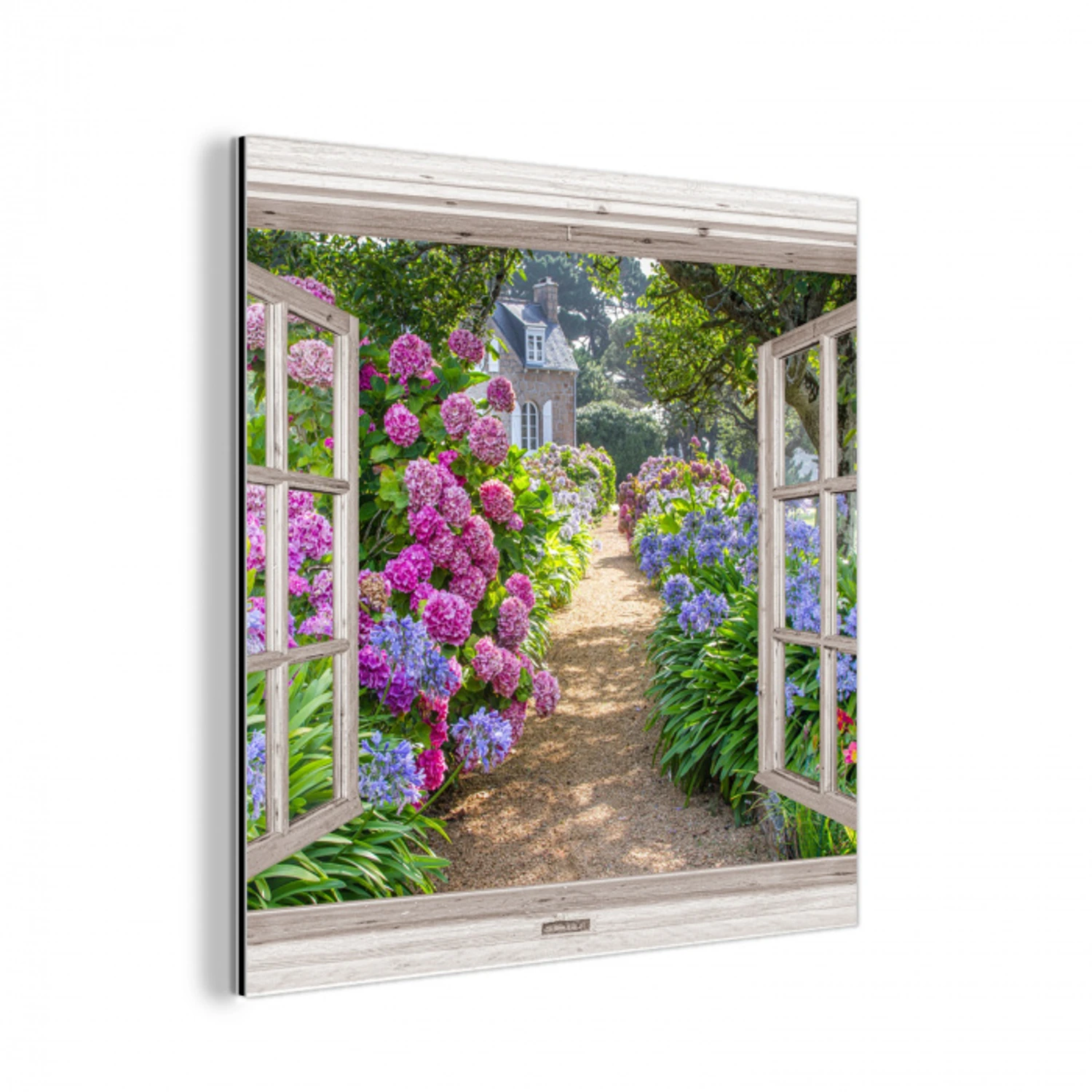 Hortensia - Doorkijk - Bloemen - Zomer - Paars - Pad aluminium wit klein -3d