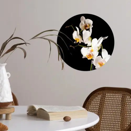 Orchidee - Bloemen - Planten - Botanisch Wandcirkel behangsticker klein -sfeer3