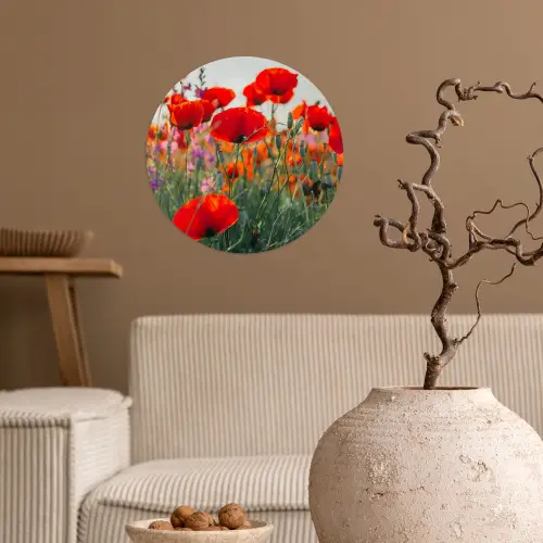 Klaproos - Bloemen - Rood - Paars - Weide Wandcirkel behangsticker klein -sfeer1