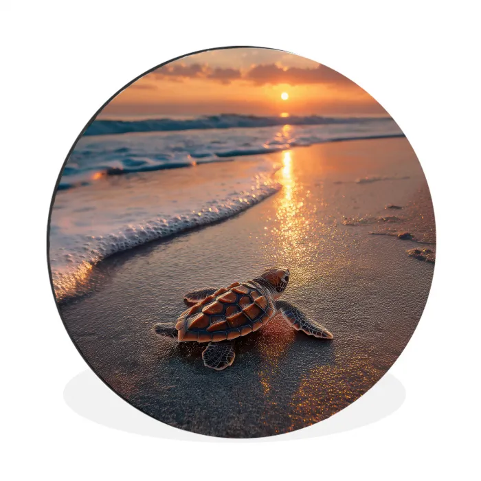 Schildpad - strand - Zonsondergang Wandcirkel aluminium klein -3d