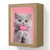 Kat - Valentijn - Roze - Liefde Light Box met kabel (Wandlamp) klein -3d