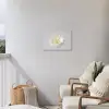 Bloem - Minimalistisch -Wit Tuinposter op houten frame 2 cm dik klein -sfeer1