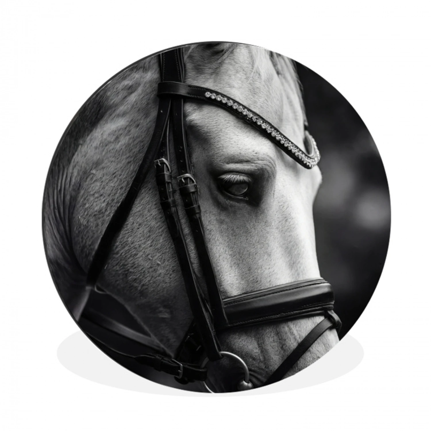 Paard - Schimmel - Portret Wandcirkel aluminium klein -3d