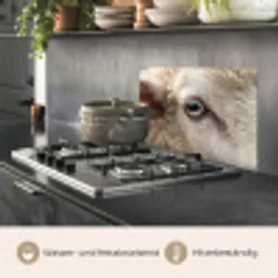 Schaap - Oog - Wit keuken achterwand spatscherm klein -usp_DE