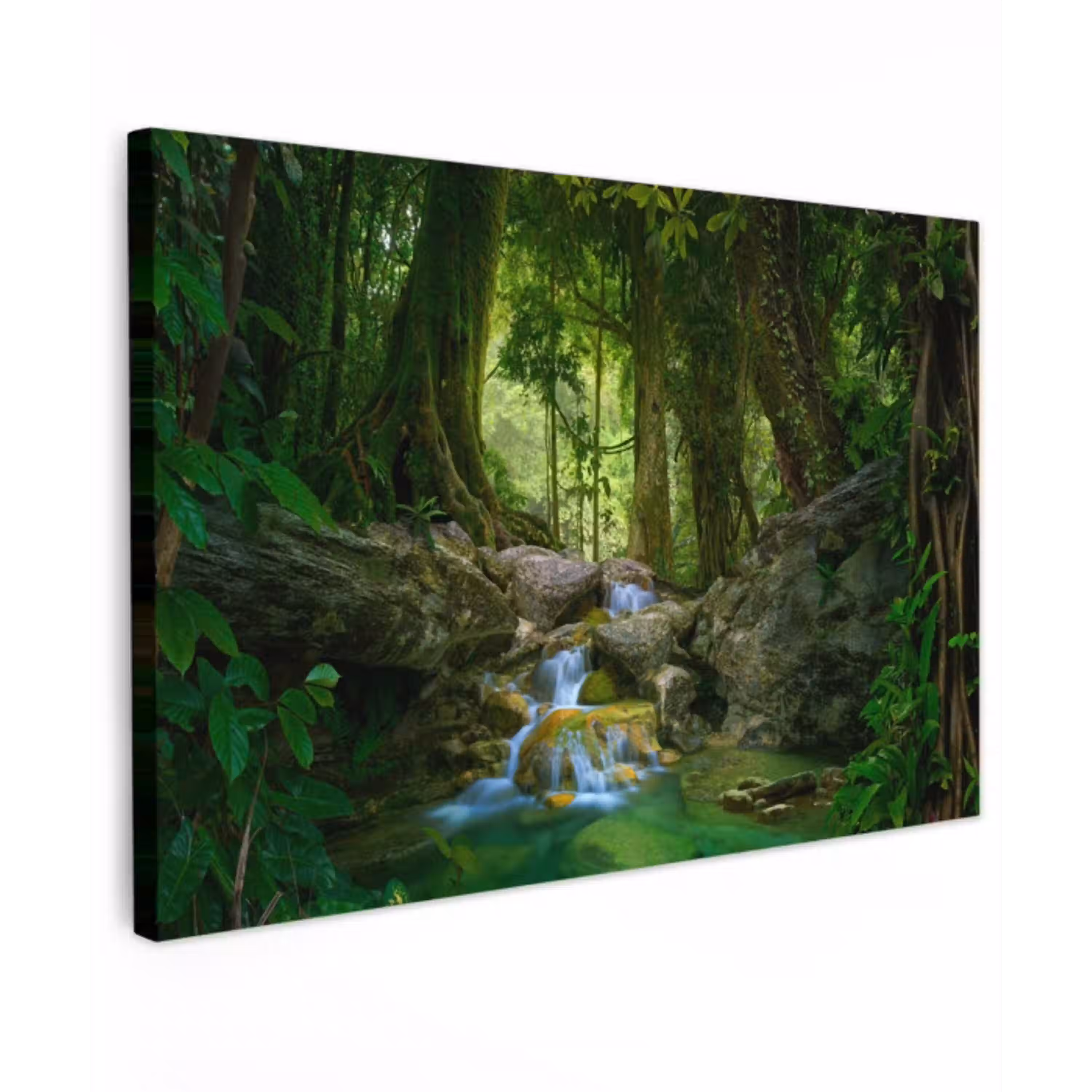 Jungle - Stenen - Water - Natuur - Planten canvas 2cm klein -z3d
