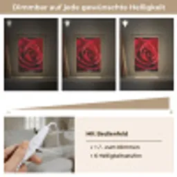 Rood - Roos - Romantisch Light Box met kabel (Tafellamp) klein -USP_dimbaarDE