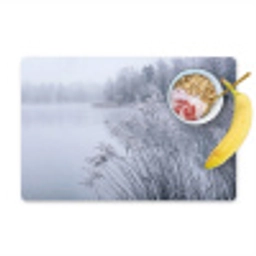 Riet - Bevroren - Winter - Natuur Placemat vinyl groot -zzzproduct_Kitchenyeah-website